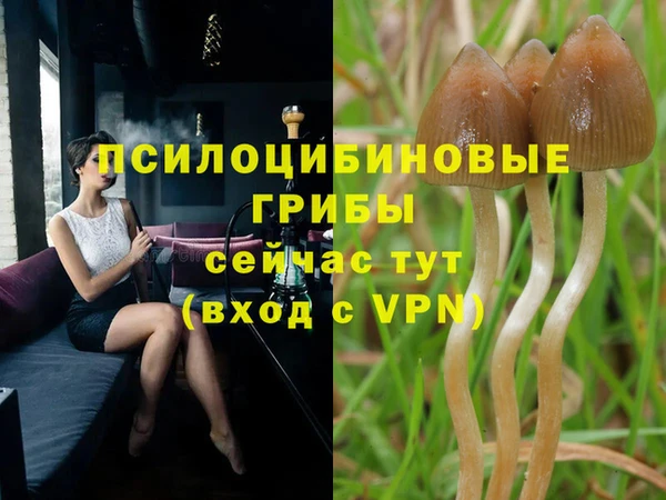 COCAINE Медвежьегорск